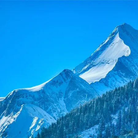 Select 4 - By Alpen * ピーゼンドルフ