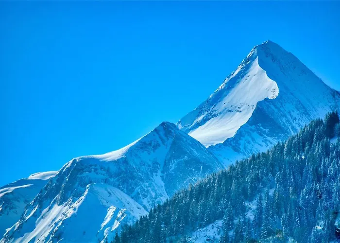 Select 4 - By Alpen * ピーゼンドルフ