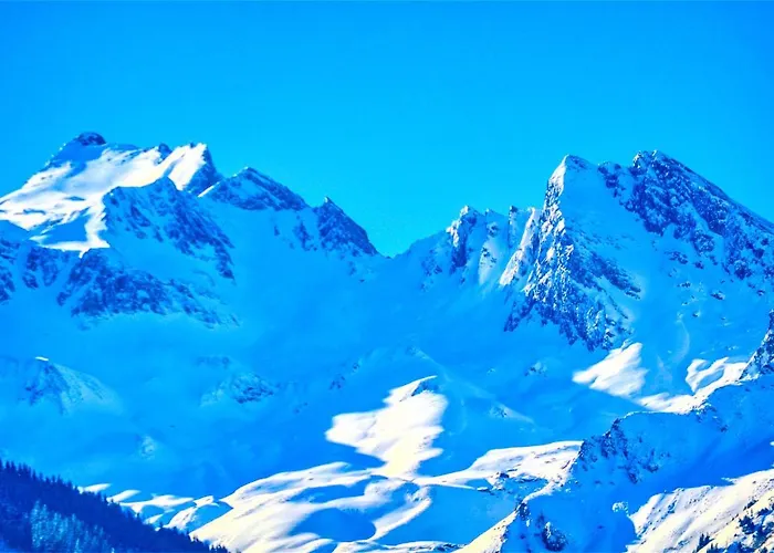 Select 4 - By Alpen * ピーゼンドルフ